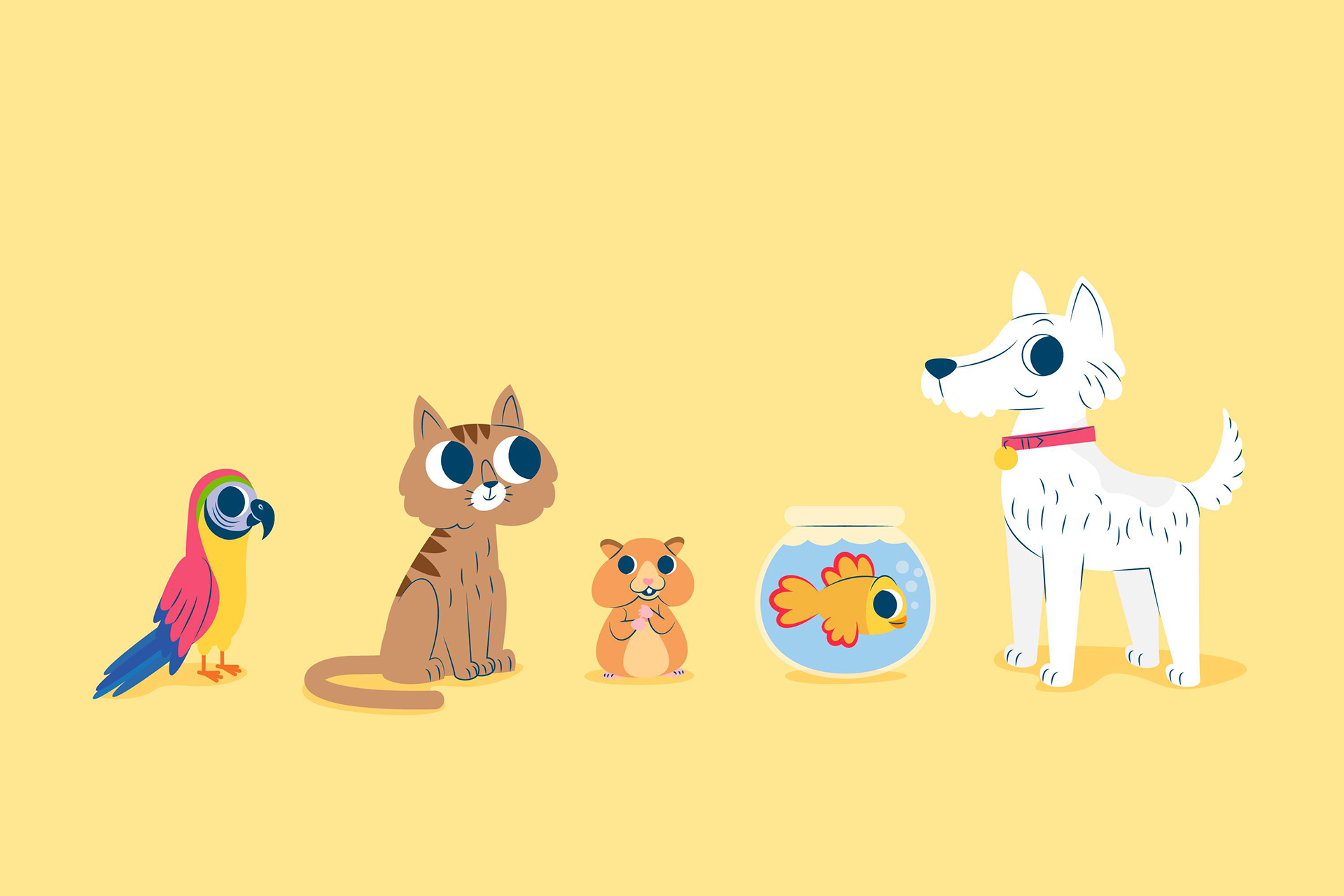 How to choose a pet?