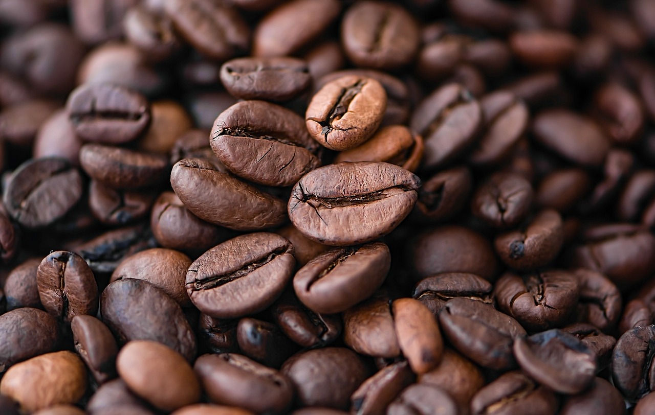 Arabica and Robusta coffee beans in a side-by-side comparison showing their differences in size, color, and texture.