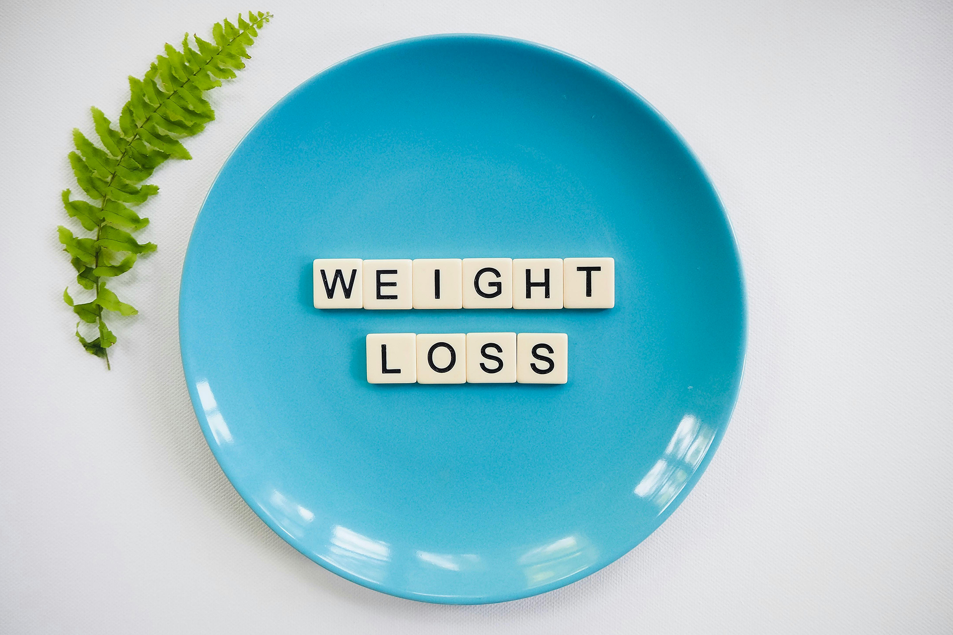 calorie deficit chart